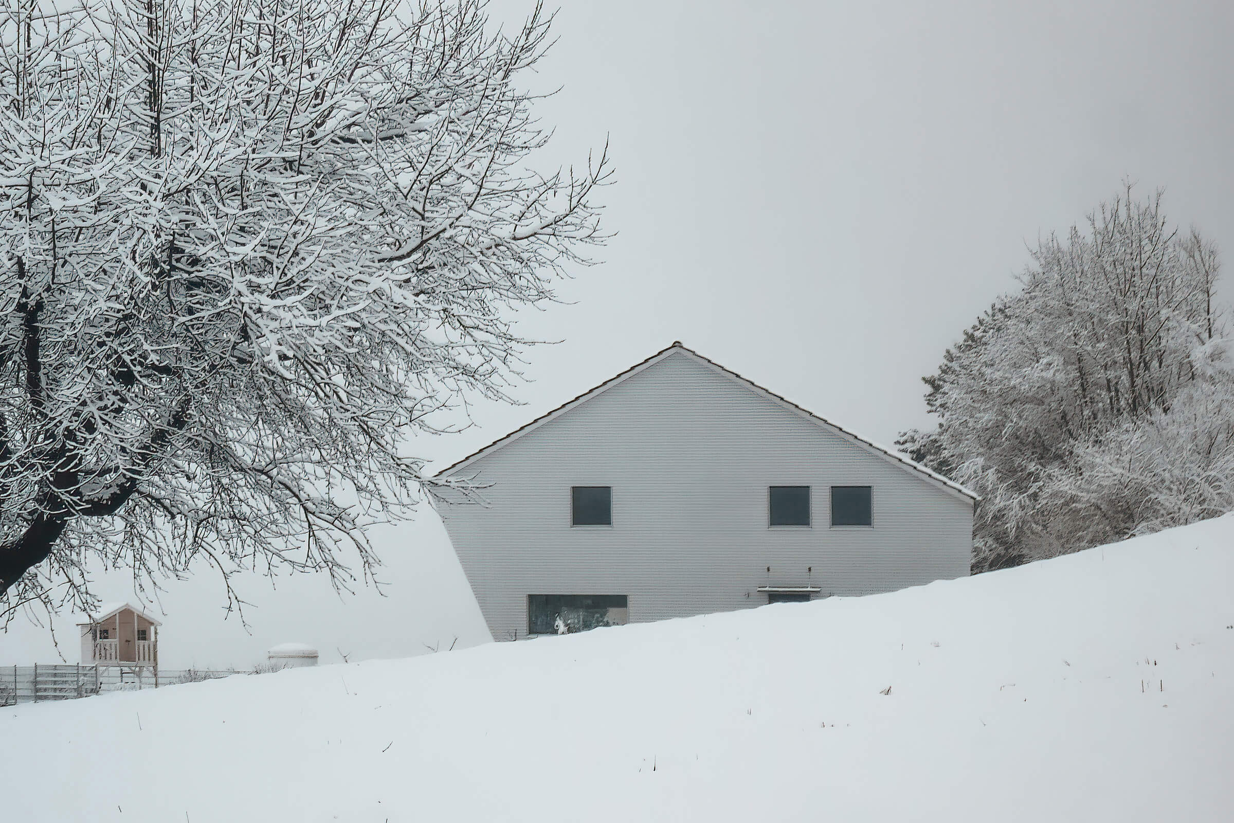 20090208_BM_Stauffer_004_P1040638 Kopie 2.jpg