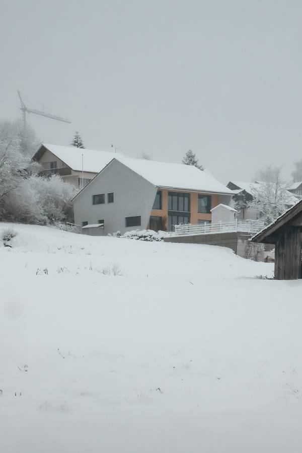 20090208_BM_Stauffer_003_P1040634.jpg